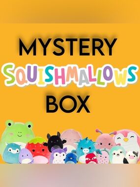 Mystery Squishmallows Box Assortment (4-5)